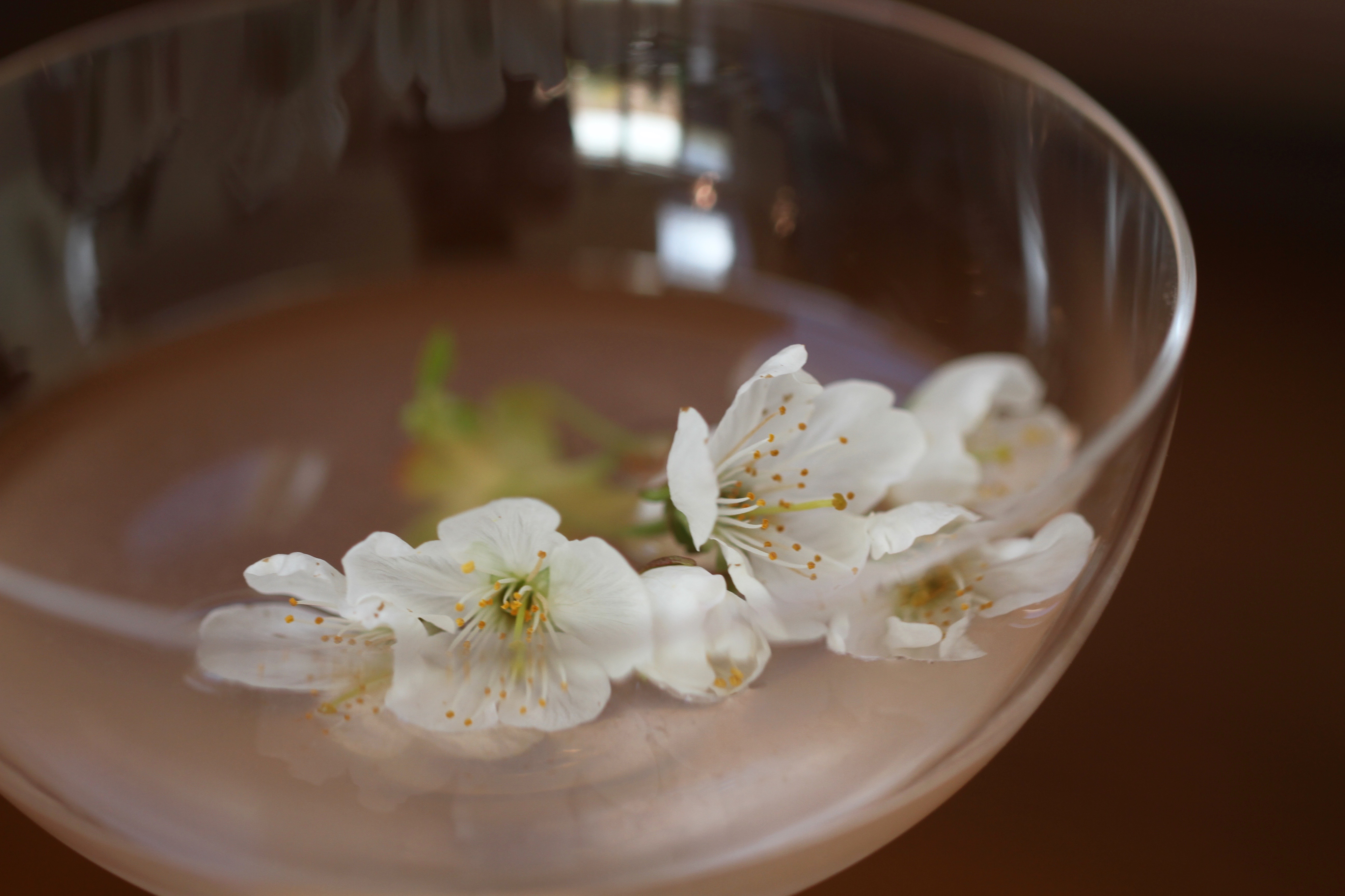 Cherry Blossom Martini