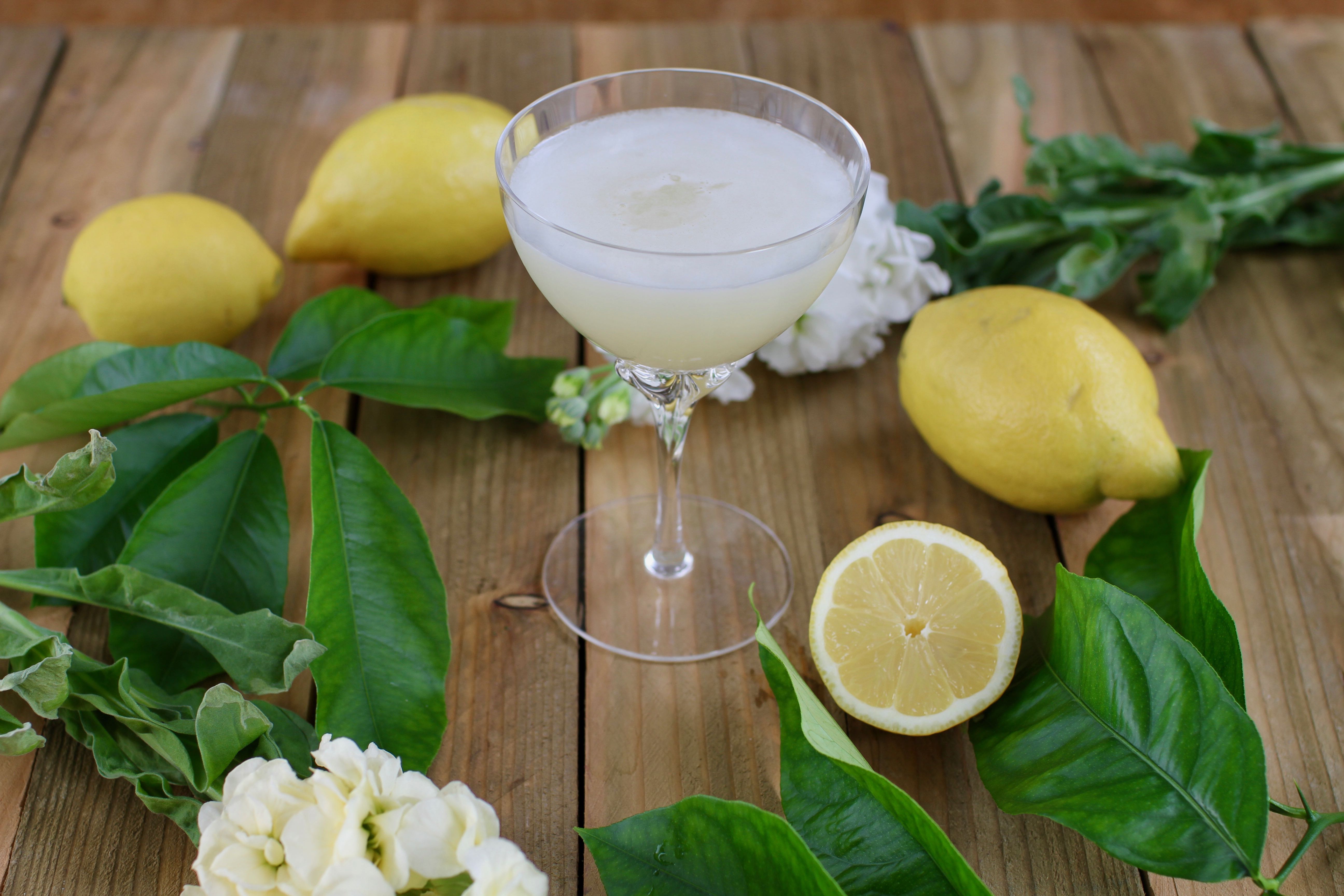 Lemon, Elderflower & Chamomile Posset